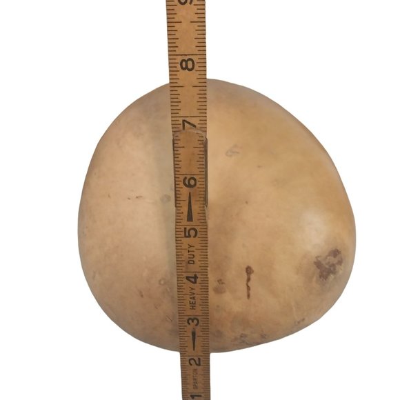 Galloping Horses Gourd Art Hand Painted - Picture 7 of 7